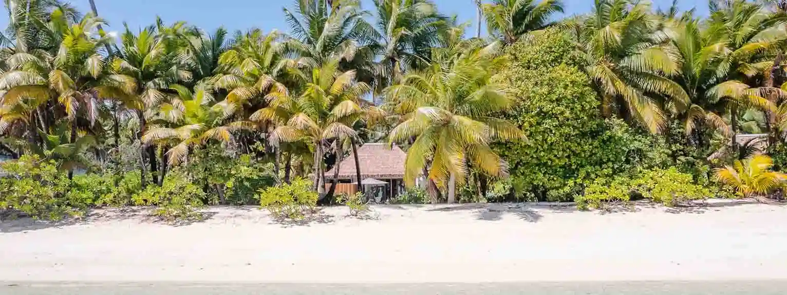 Alphonse Island-1